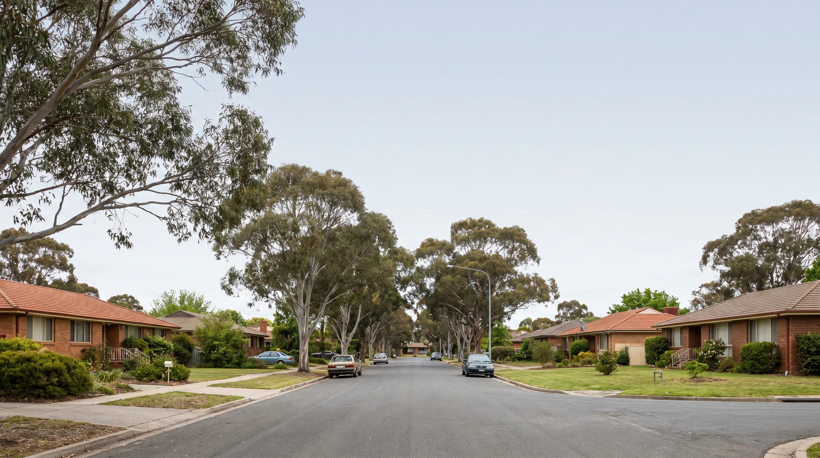 Removalists at work on a street in Weston Creek